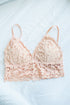 Lace Bralette | Two Options